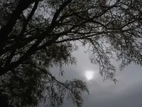 November 2009 261 v.webp
