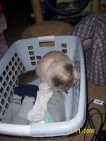 100_2182.webp