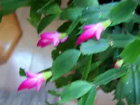 SA500147.webp