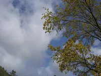 October 2009 036 v.webp