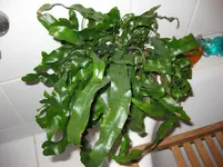 IMG_0985.webp