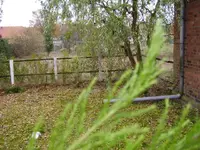 PA310002.webp