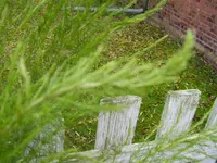 PA310003.webp