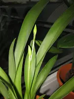 IMG_0993.webp