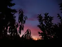 DSCF0195.webp