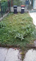 Vorgarten.webp