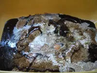 Pfefferkuchen 005.webp