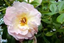 DSCN1977.webp