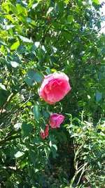 20200615_111611.webp