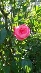 20200615_111626.jpg