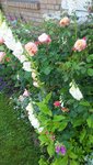 20200615_112203.jpg