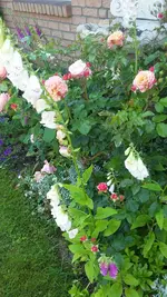 20200615_112203.webp