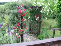 IMG_7182.webp