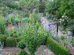 IMG_7183.JPG