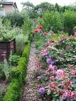 IMG_7187.webp