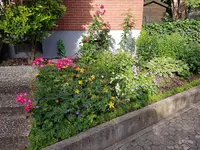 20200619_082346.webp