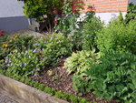 20200619_082314.jpg