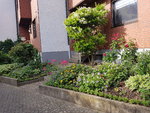 20200619_082303.jpg