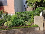 20200619_082256.jpg
