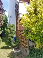 20200602_143721.jpg