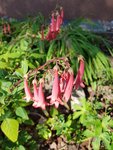 20200619_091937.jpg