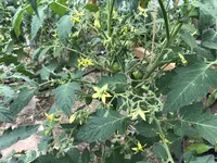 IMG_4754.JPG