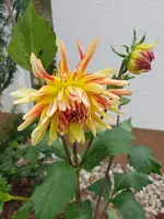 20200619_170541.jpg