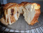 Hefeschnecken (2).JPG