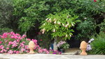 DSC03270Brug.JPG