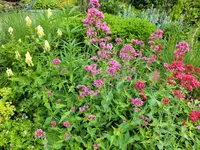 DSCF3709 (2).webp