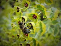 DSCF3706 (2).webp