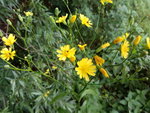 IMG_20200615_102006.jpg