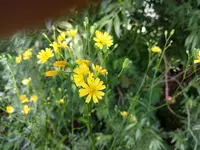 IMG_20200615_102017.jpg