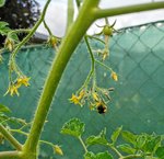 IMG_20200620_092838.jpg