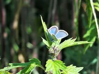 DSCF3713 (2).webp