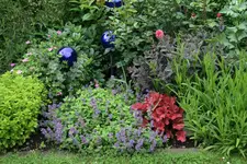 Juni   3220.webp