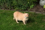 Rudi0220.jpg