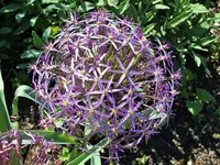 DSCF3735 (2).webp