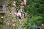 comp_DSC09036.jpg