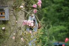 comp_DSC09036.webp
