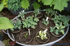 comp_DSC09042.webp
