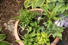 comp_DSC09044.webp
