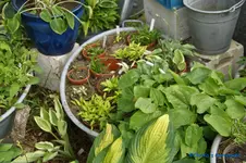 comp_DSC09047.webp