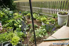comp_DSC09049.webp