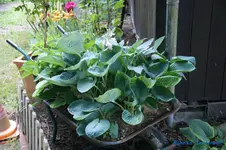 comp_DSC09050.webp