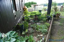 comp_DSC09051.webp