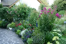 Terasse   4619.webp