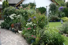 Terasse  1818.webp