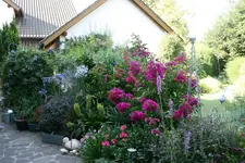 Terasse  3218.webp