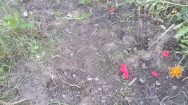 20200620_203550.webp
